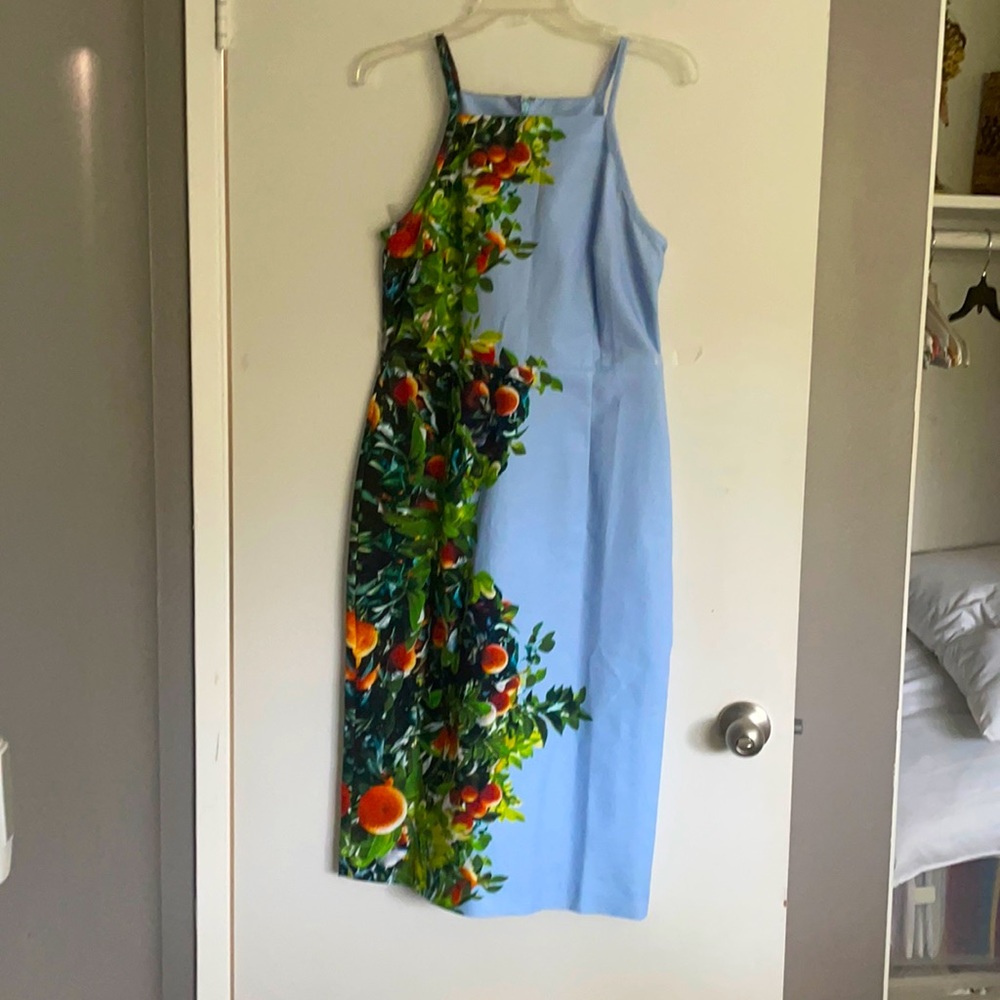 Anthropology dress